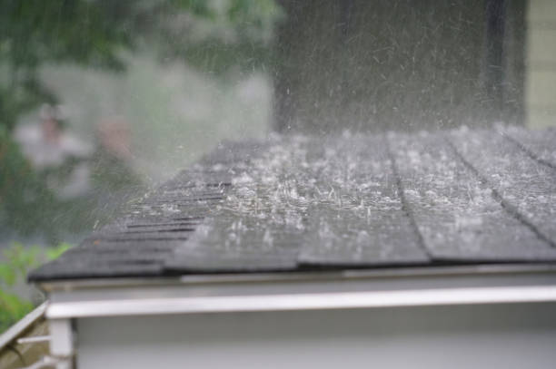 Best Roof Maintenance and Cleaning  in Roeland Park, KS